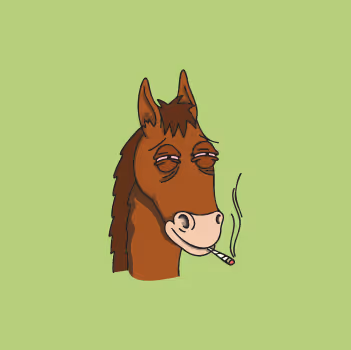 OpenSea profile picture for @Scuba