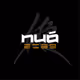 nuo2069TeamValue
