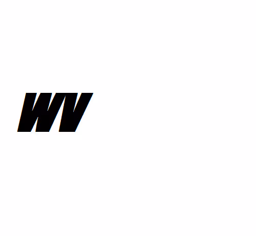 OpenSea profile picture for @WV