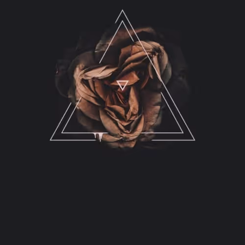 OpenSea profile picture for @Qusai
