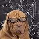 NFTgeeker