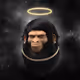 Man_Like_McGee