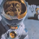 MaxForTheMoon