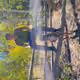 Bow_307