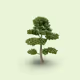 TreeWorld