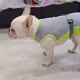 GoryDog