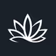 dopecryptocards