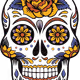 0x50ed348f85de0772a61ff63bbe33df8db30de1b2