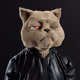 alanlengruber