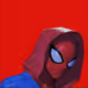 PETER_4342