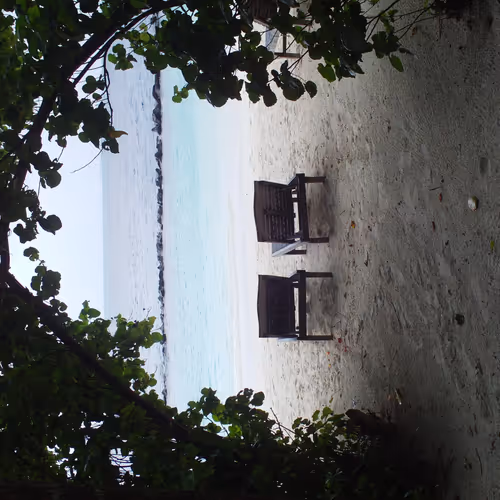 OpenSea profile picture for @maldives