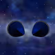 Animalien