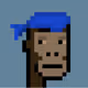 crypto_homie