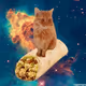 Burrito_Cat