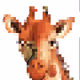 CriptoArtStudio