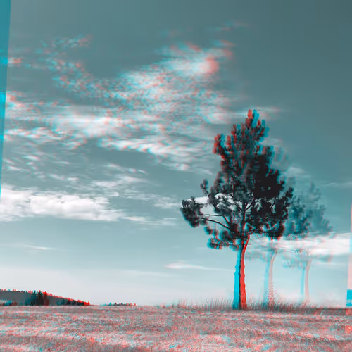 OpenSea banner for @Kelp