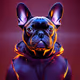 FrenchBulldogNfts