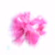 MS_Olfactory