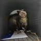F1NGERNA1L