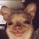 JoeyPNFT