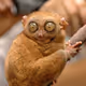 Vladlen