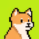 DogiHood