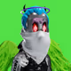 0x519b20da753574518474b4eab85f95fb0b8bed65