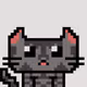 the-normal-cat