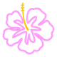 vantasyvault