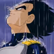 SSVegeta