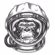 MonkeyCam
