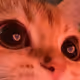 46548