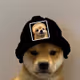 WannaBuyMyDog
