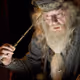 0xDumbledore