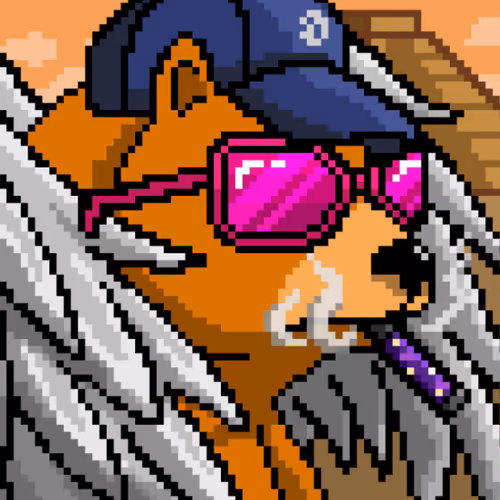 OpenSea profile picture for @ERP