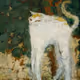 lechatblanc