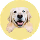 BONBIBON