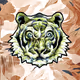 LionSoul007