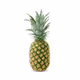 Pineapple_King