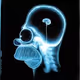 xraypapa