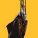 TheGhostMantis
