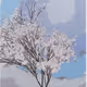 TVT_A