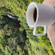 Poyal_Rines