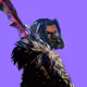 huka_0331