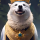DOGEONMOON