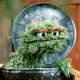 OscarTheGrouch