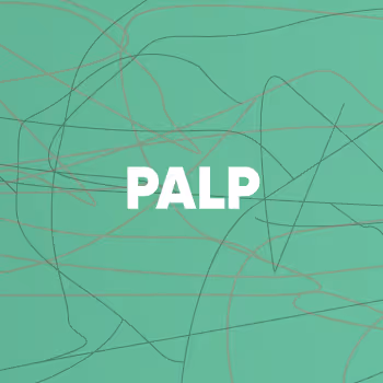 OpenSea profile picture for @palp