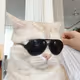mycatyy