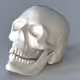 skullcollect