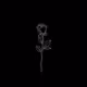 818x